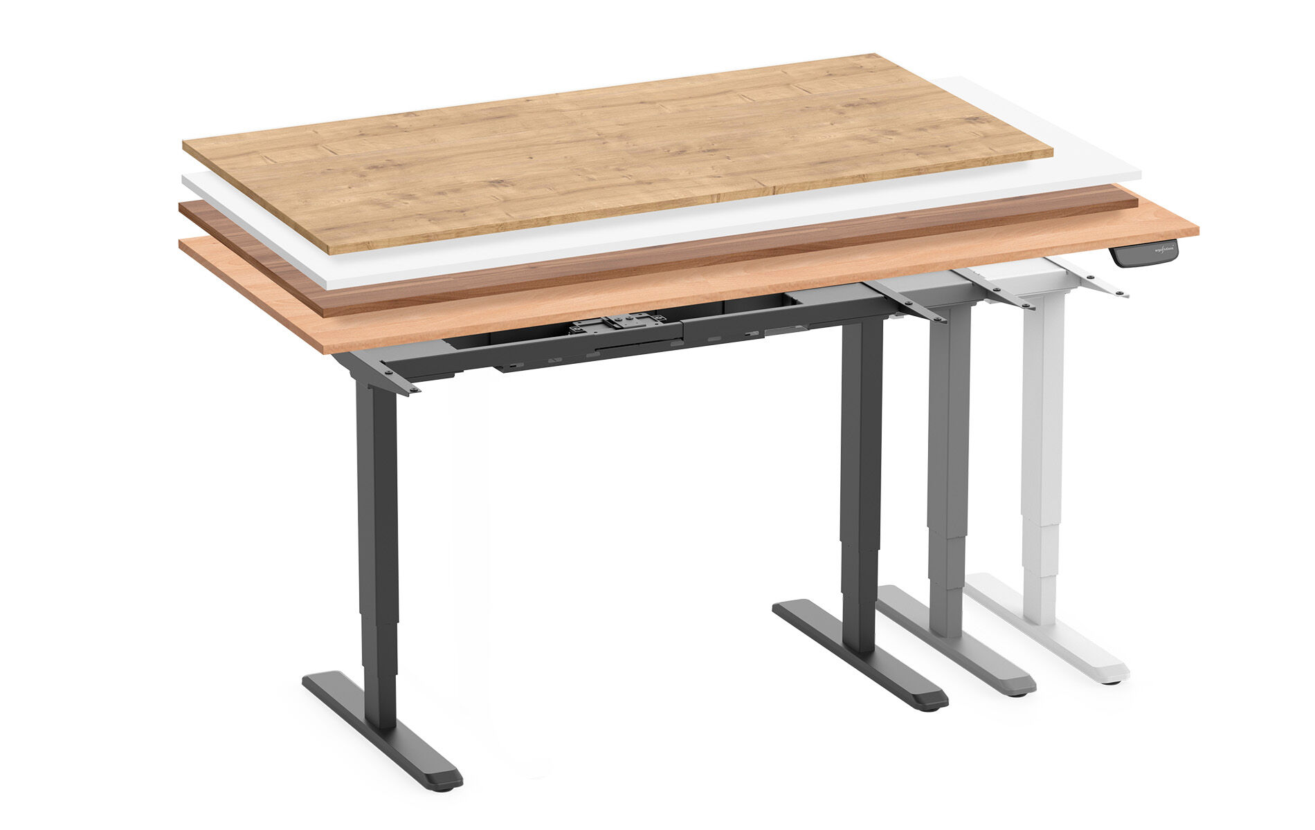 PRIMUS XL – DISPONIBILE IN 198 VARIANTI