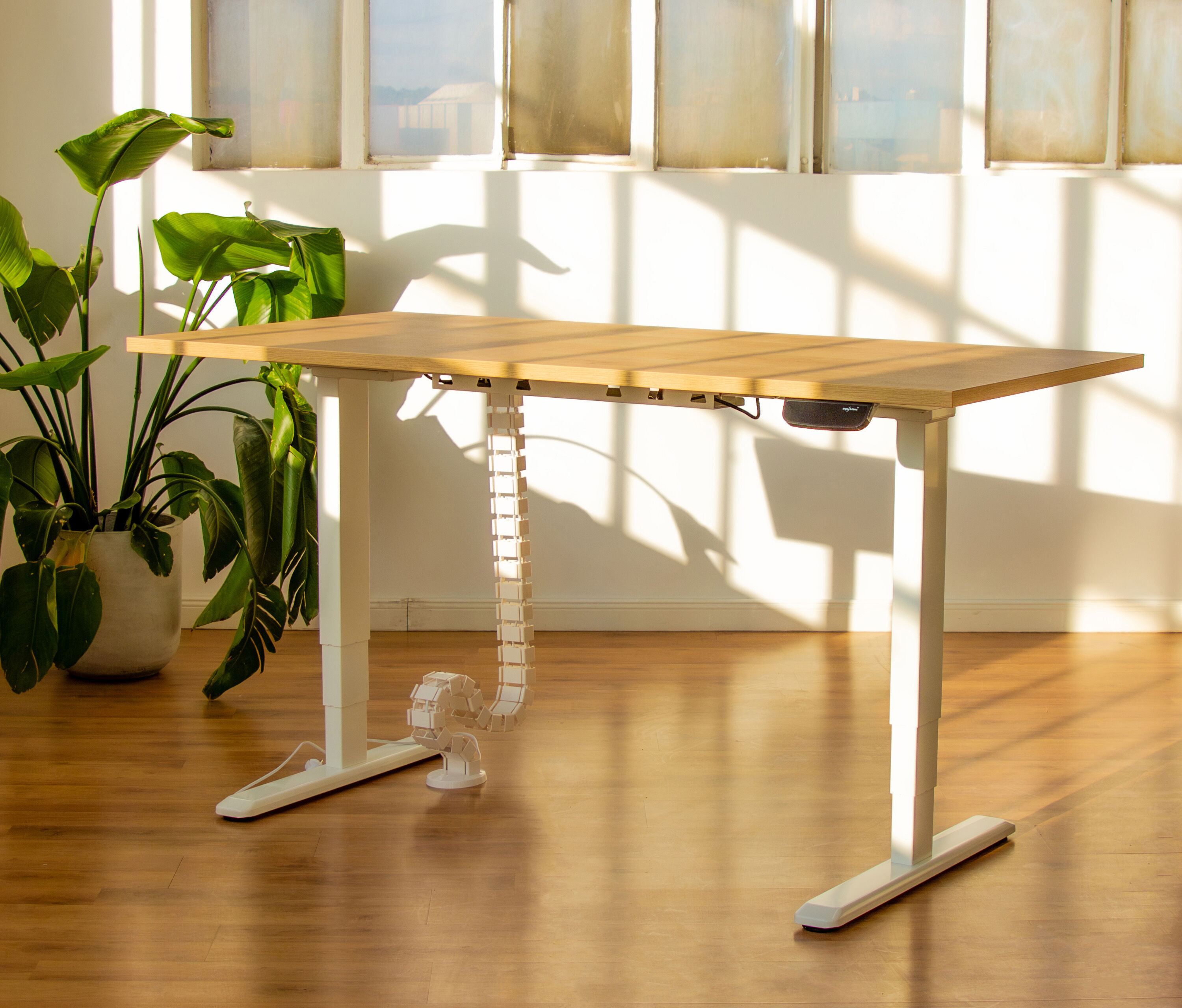 Scrivania rettangolare PRIMUS, Telaio Bianco, Piano 1400 x 800 x 19 mm Noce